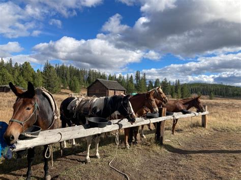 The Ultimate Guide to Helena-Lewis and Clark National Forest | Alex on ...