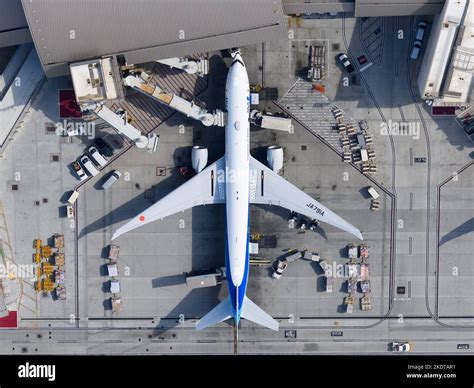 All Nippon Airways Boeing 777 aircraft parked with jet bridge. Airplane ...