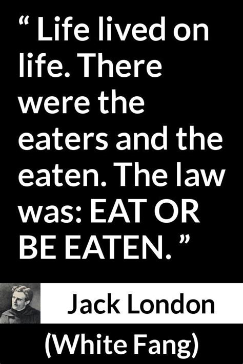 Jack London quote about life from White Fang | Jack london quotes, Life quotes, Jack london