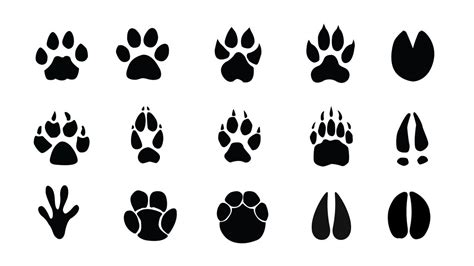 Learn Animal Footprints In English! Types of Animal Footprints : Horse ...