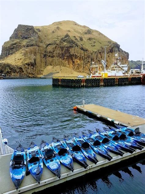 Kayak and puffin tour in Westman Islands | Vestmannaeyjar