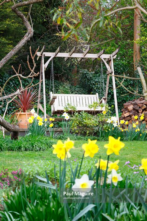 Stock photo - English garden in spring - Paul Maguire