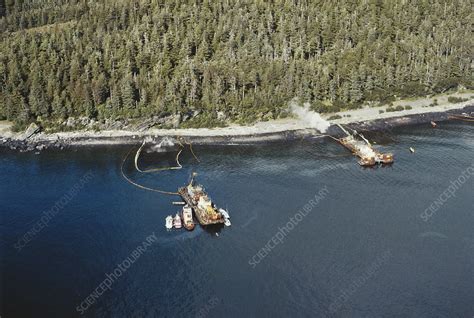 Cleanup After Exxon-Valdez Spill - Stock Image - C012/1489 - Science ...