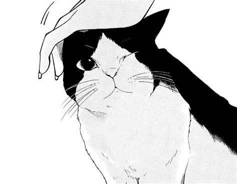 Pin by Kilig.Li on ※♥︎Otaku♥︎※ | Manga cat, White anime, Cat art