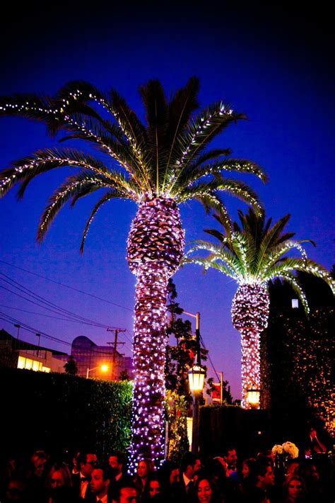 two palm trees decorated with lights at night