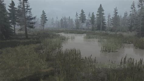 Swamp Map | Mudrunner.net