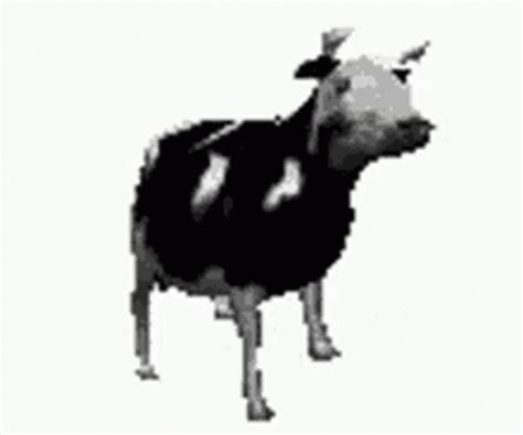 Dancing Cow Dance GIF - Dancing Cow Cow Dance - Discover & Share GIFs