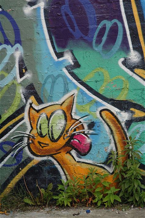 Cat Graffiti 3