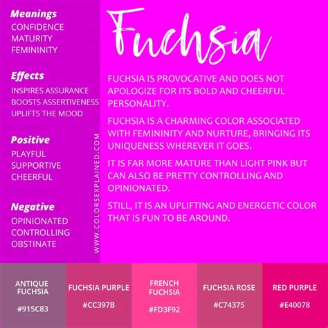 Meaning of the Color Fuchsia And Its Symbolism (2023)