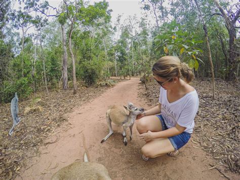 A Guide To Visiting The Territory Wildlife Park From Darwin, Australia