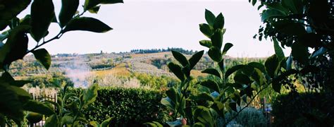 Tuscany Airbnb – the belle abroad