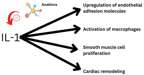 Medical Sciences | Free Full-Text | Anakinra in Heart Failure: A ...