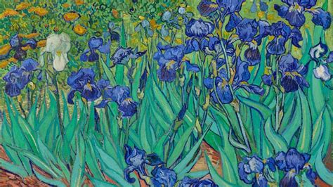 How to Use Getty Open Content for Your Custom Zoom Background | Van gogh irises, Iris painting ...