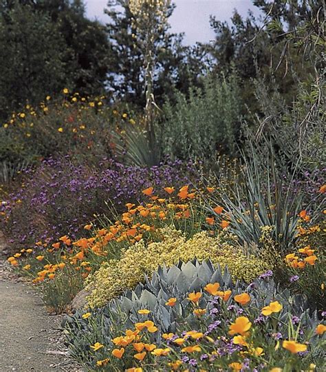 Pacific Horticulture | Native Plant Care | California native garden ...