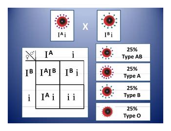 Codominance and Blood Types: Punnett Square Generator by Haney Science