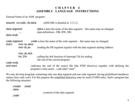 assembly language instructions