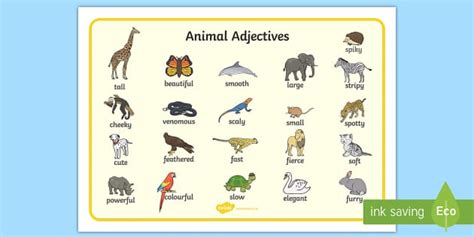 Animal Adjectives Word Mat (teacher made) - Twinkl