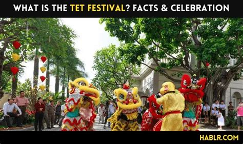 Why is the Tet Festival so Important in Vietnam? - Hablr