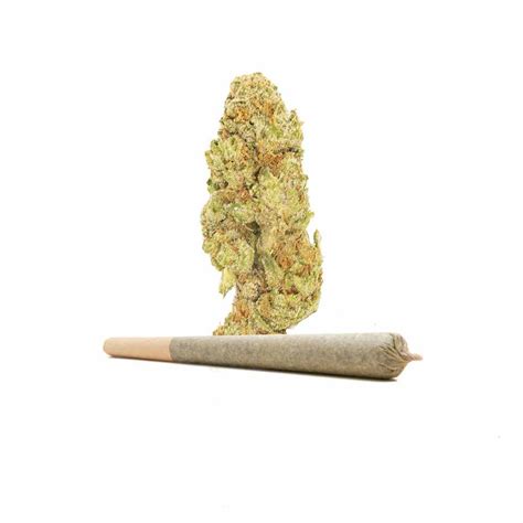 Money Bag Runtz | Preroll - BnR Delivery DC