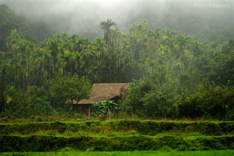 My Glass Eye: The Rainforest of Agumbe