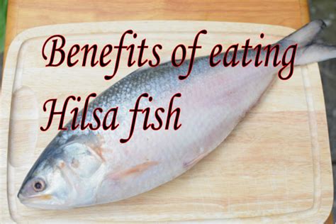 Benefits of eating hilsa fish