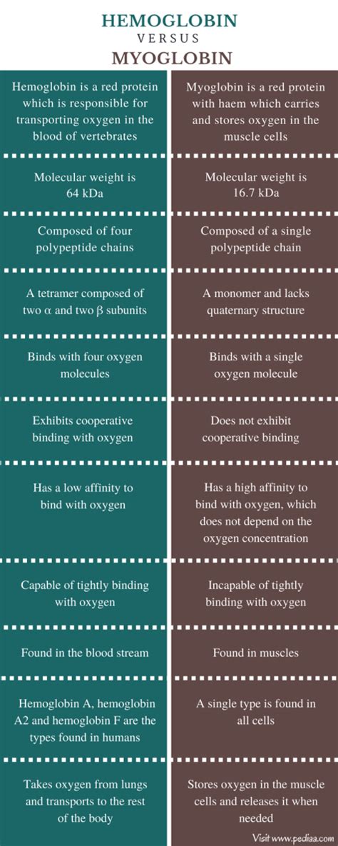 Difference Between Hemoglobin and Myoglobin | Definition, Structure and Composition, Function