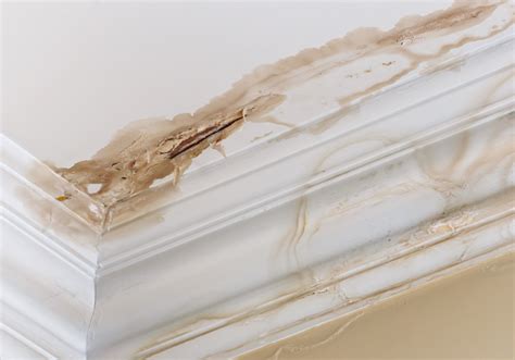 My Ceiling Has Water Damage. Can I Paint Over It? | Southington Painting