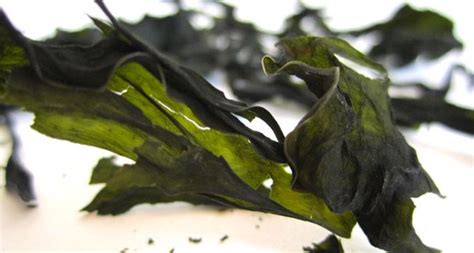 KOMBU SEAWEED SUPERFOOD RECIPES - SWIISH Blog