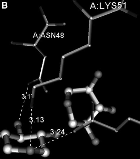 (A) Structure of a family 10 xylanase from P. simplicissimum (PDB 1B3V)... | Download Scientific ...