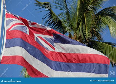 Hawaii State Flag stock image. Image of green, icon, flags - 76551009