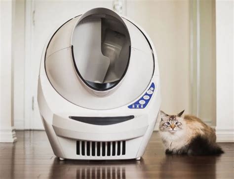 Litter Robot 2 Automatic Litter Box Review – Pet Brilliant.com