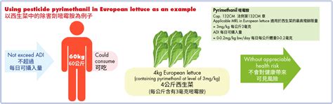 Pesticide Residues in Vegetables Available in Local Markets