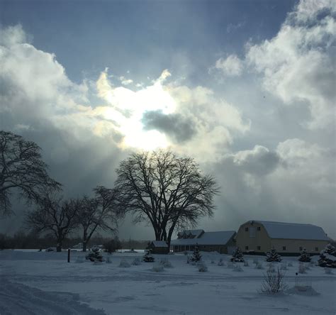 Beautiful Michigan winter afternoon. #michigan #winterwonderland | Snow scenes, Winter ...