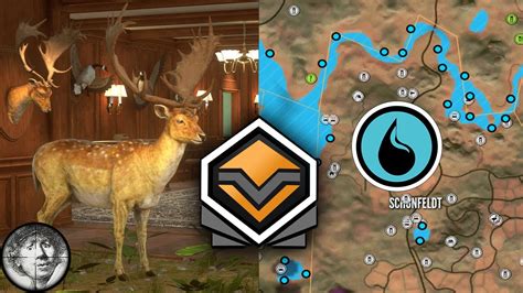 Diamond Fallow Deer Guide with map locations - Hirschfelden [theHunter ...