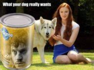 50+ Funniest Game Of Thrones Memes Ever