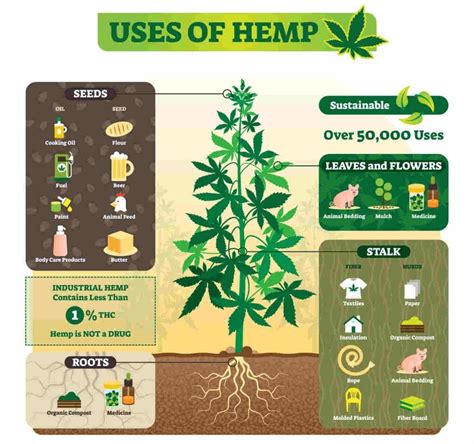 Hemp Toilet Paper (All you need to know) - Climatebiz