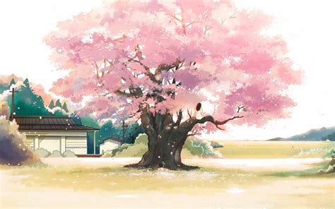 Anime Cherry Blossom Landscape Wallpapers - Wallpaper Cave