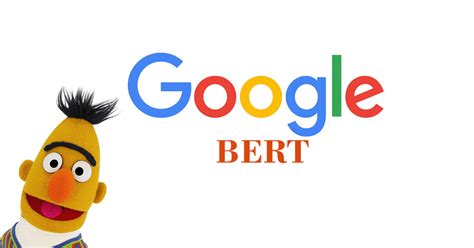 Manual for the First Time Users: Google BERT for Text Classification