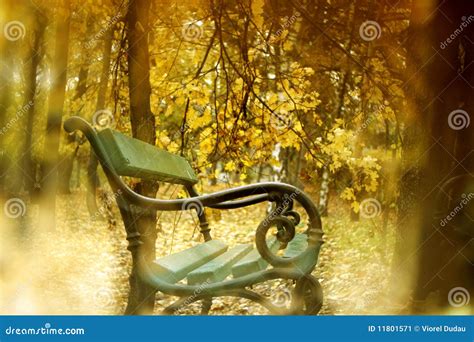 Autumn scenery in park stock image. Image of nature, october - 11801571