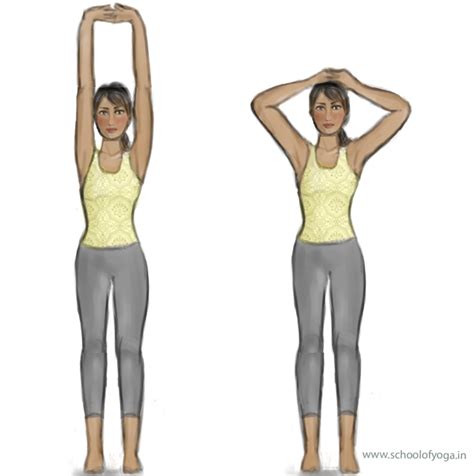 Tadasana – Mountain Pose – School of Yoga