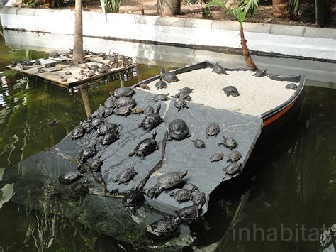 Atocha Station Tropical Garden | Inhabitat - Green Design, Innovation ...