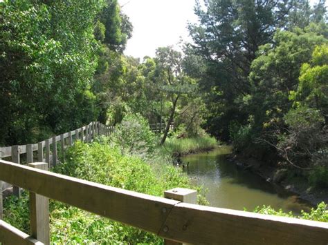 Point Leo Foreshore Reserve - Point Leo Footpath along the creek immediately behind the park.