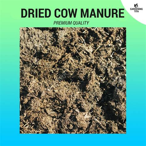 (1 KG) Premium Dried Cow Manure - Organic Fertilizer for Gardening ...