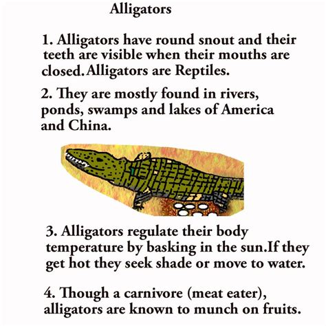 Alligator facts | Educational apps, Alligator, Learning