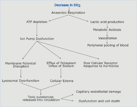 Shock Pathophysiology: Classifications and Management | IntechOpen