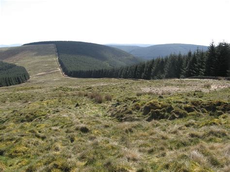 Eskdalemuir Forest, Scottish Borders - area information, map, walks and ...