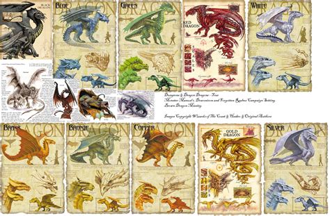 Dragon artwork, Dragon art, Types of dragons