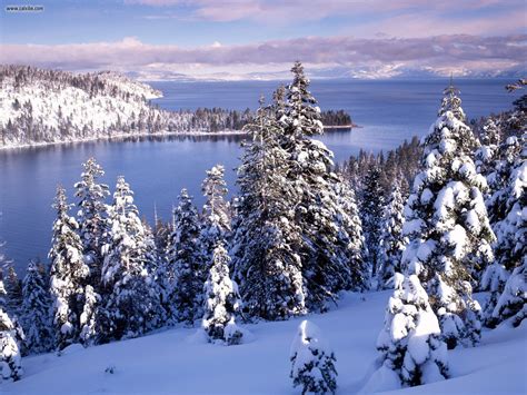 Lake Tahoe California. Some of the best snow boarding. | Lake tahoe ...