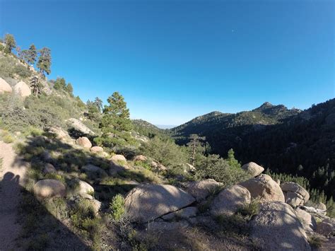 Ravine Ravings: Hiking the Hualapai Mountains