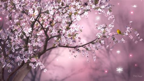 🔥 [38+] Spring Birds and Flowers Wallpapers | WallpaperSafari